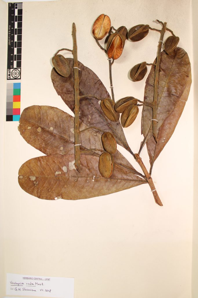 UFMT_13486A