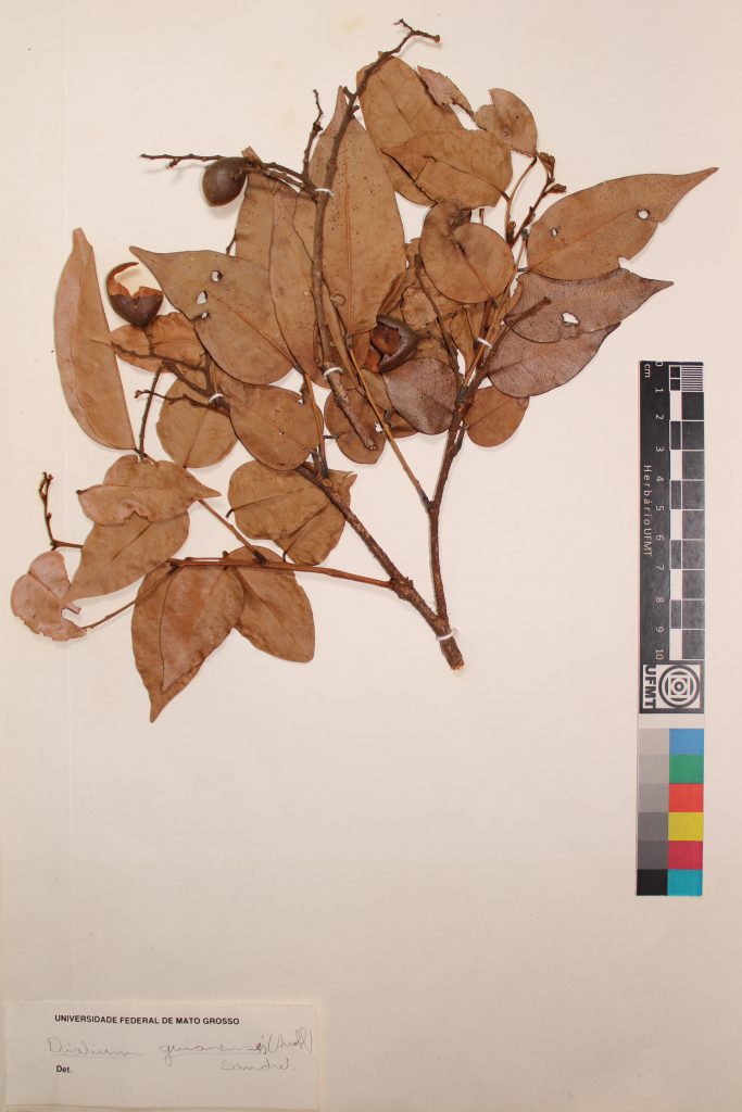 UFMT_13547A