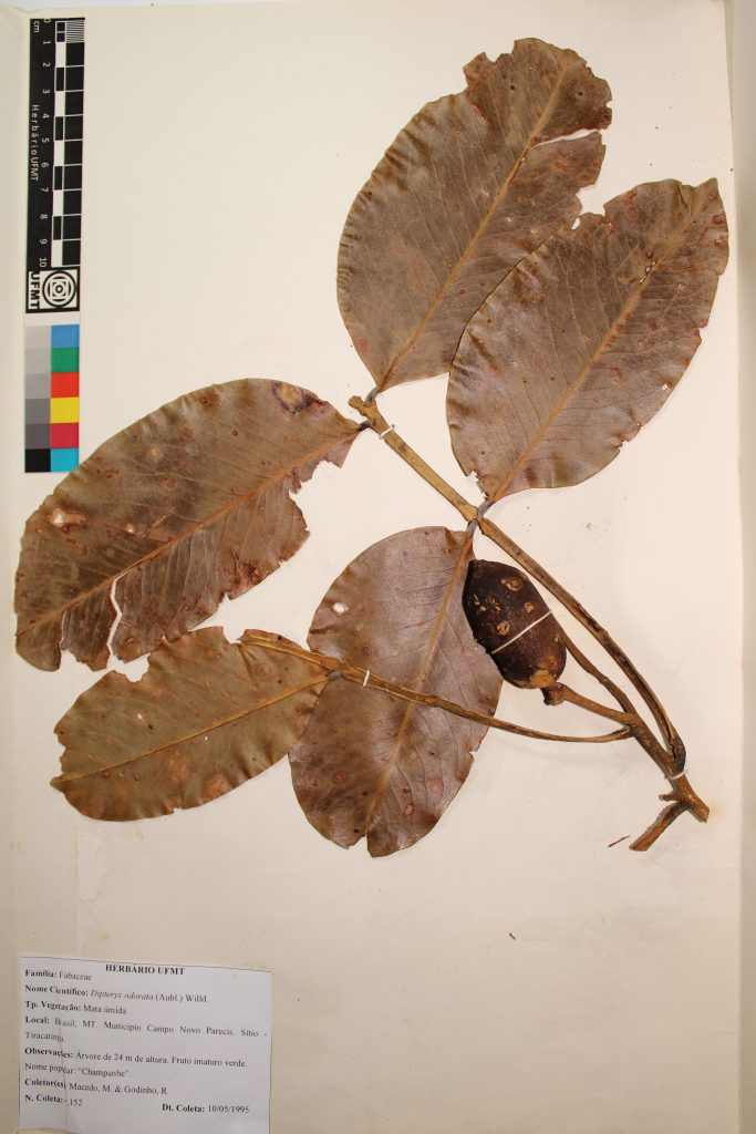 UFMT_13631