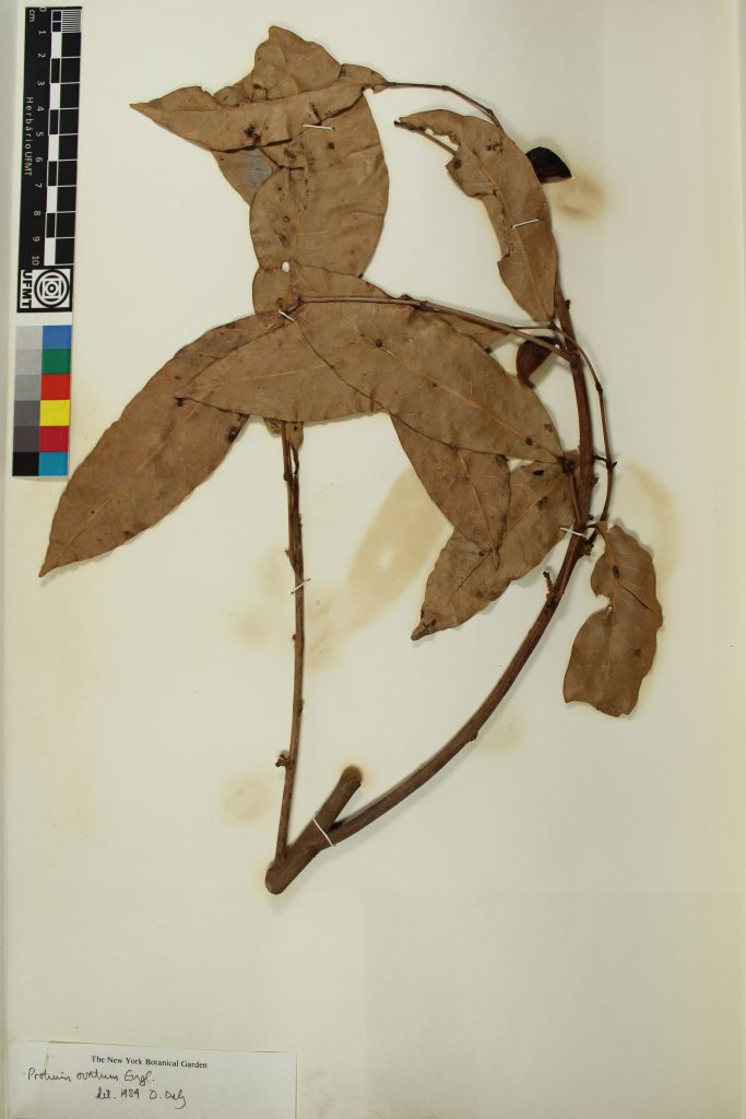 UFMT_2063A