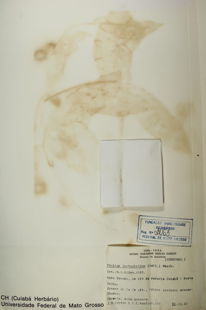 UFMT_2063B