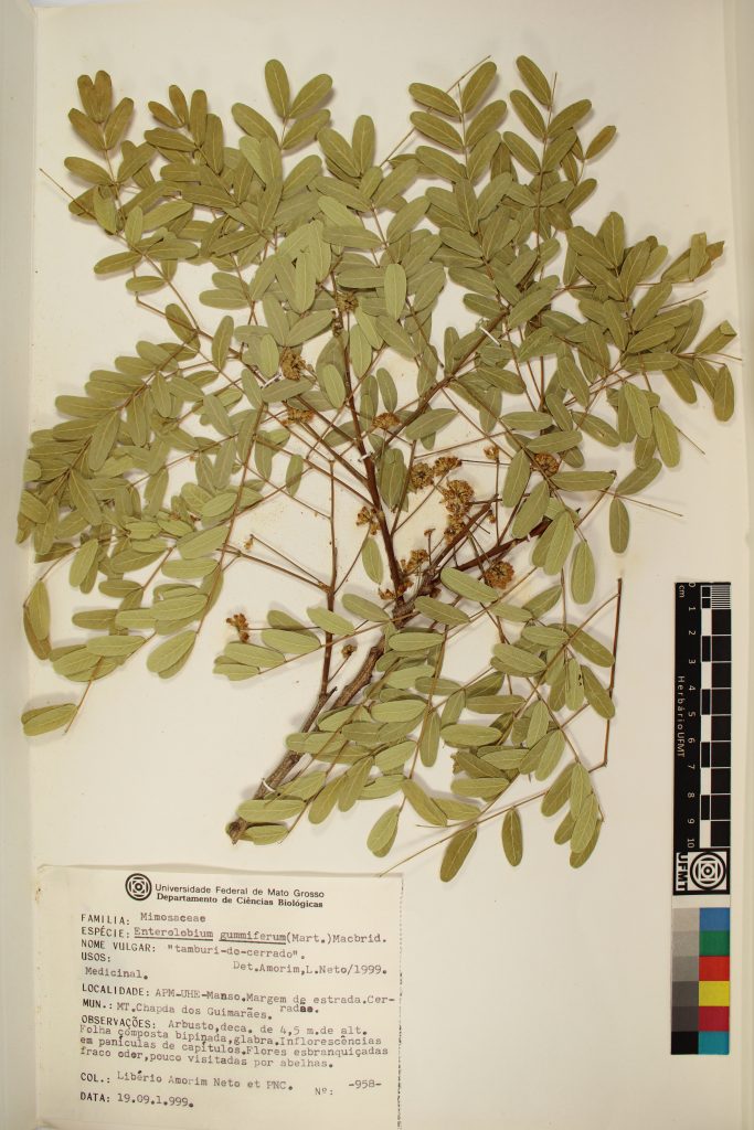 UFMT_21842
