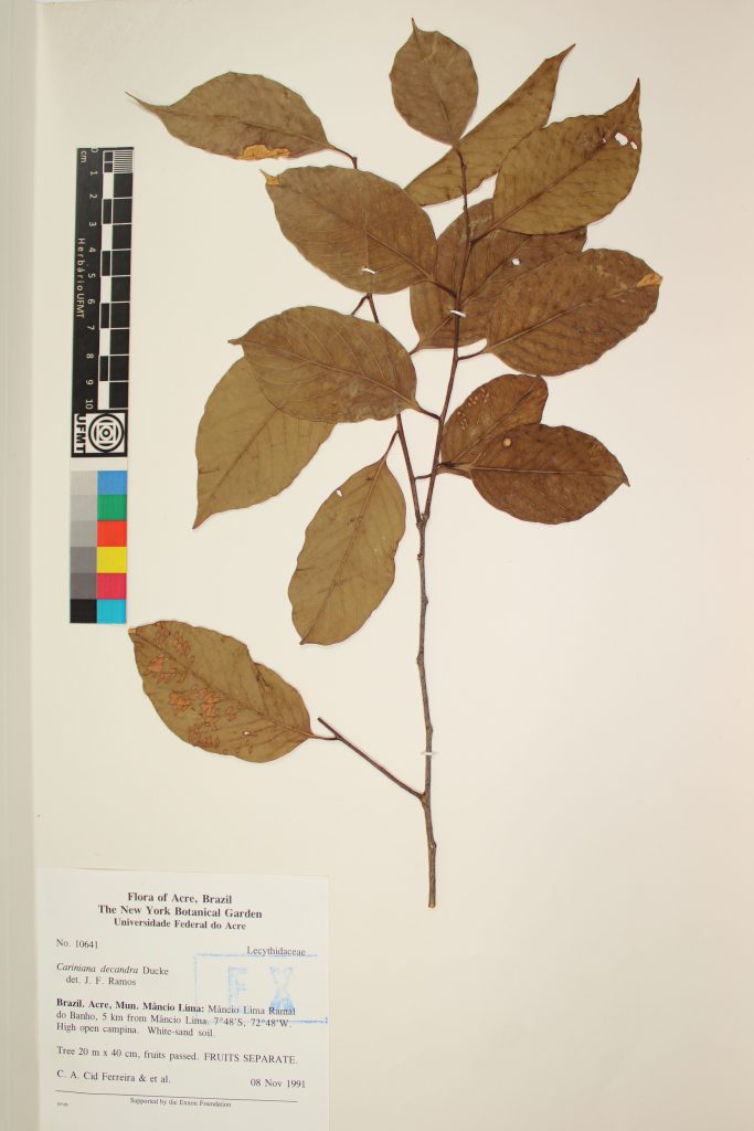 UFMT_22556