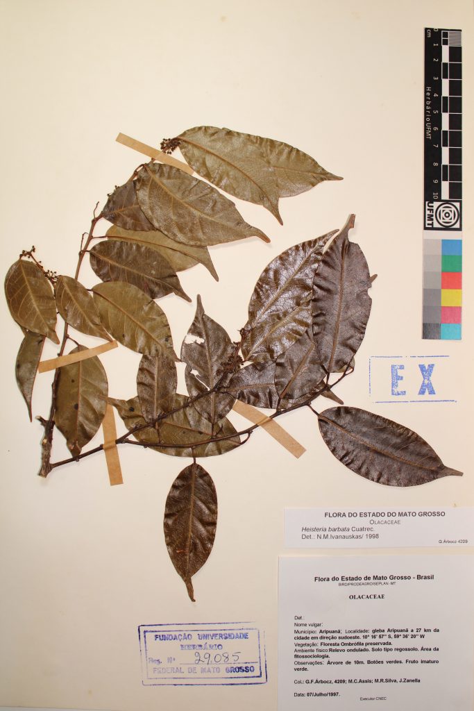 UFMT_29085