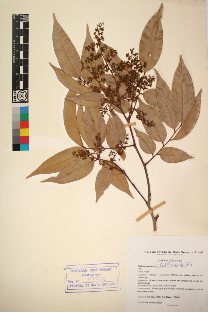 UFMT_33754