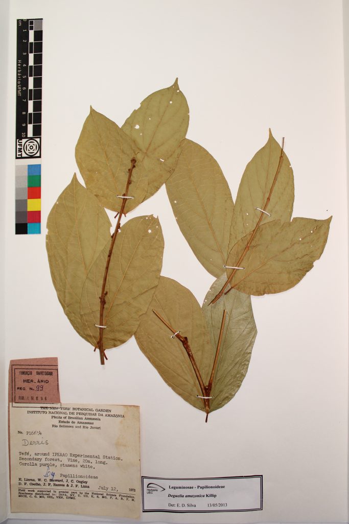 UFMT_44547