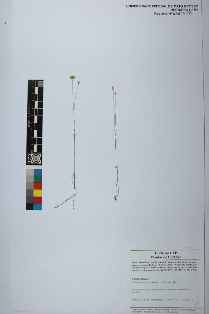 UFMT_45143A