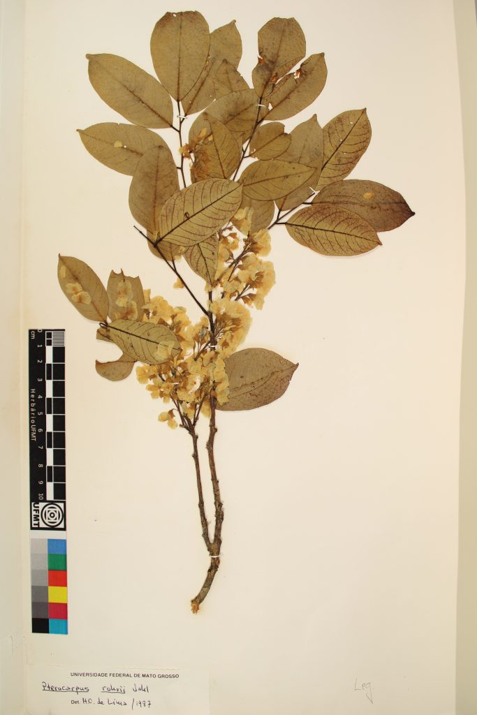 UFMT_5696A