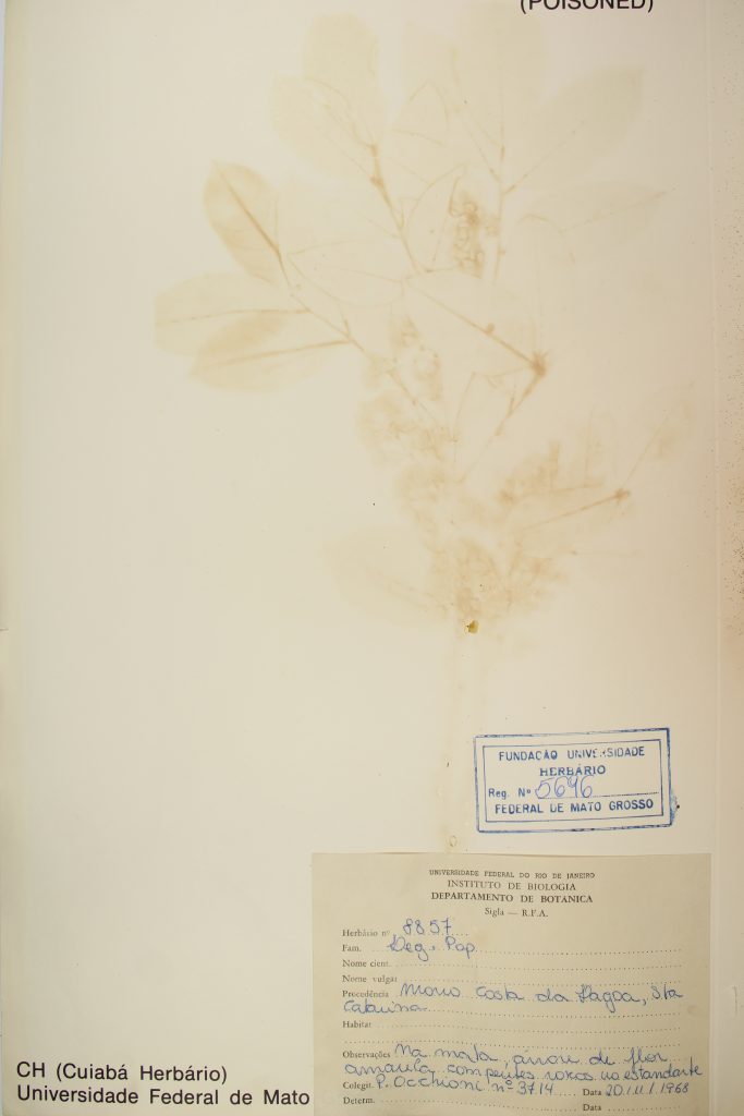 UFMT_5696B
